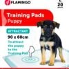 Flamingo Trainingsmat Pady L 20st Lokstof 90x60cm -ROYAL CANIN Winkel 02ffe362b04a03551d74b41e849ae688cb6cfcaab8dc2c6b516cb8870e3a0587