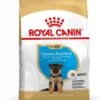 Royal Canin German Shepherd/Duitse Herder Puppy - Hondenvoer - 12kg -ROYAL CANIN Winkel 15f0b65365ea9ca1751fbd0770c5ed6e0a30ee670d6f66303e9f0f6656913936