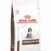Royal Canin Gastro Intestinal Junior - Hondenvoer - 10kg -ROYAL CANIN Winkel 1bb5230cc5f95fbdaa8e5d8e0a5c849c13a981ec605d5d2ad37823d4c3a8926c