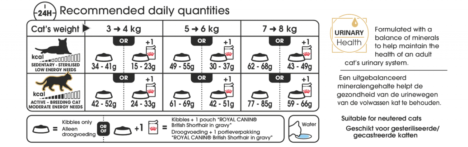Royal Canin British Shorthair Kitten 2kg 5 Royal Canin British Shorthair Kitten 2kg - Afbeelding 3