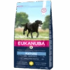 Eukanuba Mature Large Breed - Hondenvoer Met Kip - 15kg -ROYAL CANIN Winkel 2e0dabbfe4ef17fd0ec53de4e7ba507a4c3a2b02560f5659e8da45fc9714a8d6 1