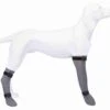 Trixie Beschermkous Silicone Xl 12 Cm/45 Cm 1 Trixie Beschermkous Silicone Xl 12 Cm/45 Cm -ROYAL CANIN Winkel 30450c2b0fe5c921347fb7ad20855177aa6c3012283721065153704f9f41cd03