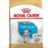 Royal Canin Dalmatian/Dalmatiër Puppy - Hondenvoer - 12kg -ROYAL CANIN Winkel 48c9dcc35f60f97f7f81bc59166cbc5c92ddb08b81656353e8c5dbd1493fbc35