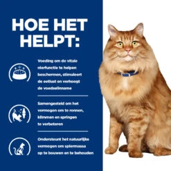 Hill's Prescription Diet K/d + Mobility Kattenvoer Met Kip 1.5kg -ROYAL CANIN Winkel 52742044767 3 NL