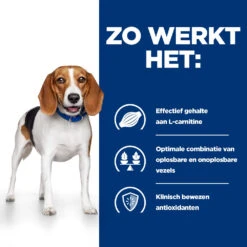 Hill's Prescription Diet R/D Hondenvoer 10kg 11 Hill's Prescription Diet R/D Hondenvoer 10kg -ROYAL CANIN Winkel 52742047256 2 NL