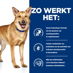 Hill's Hill’s Prescription Diet I/D Recovery Pack – Hondenvoer Met Kalkoen – 4x(3x360g) -ROYAL CANIN Winkel 52742840901 2 NL
