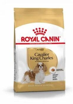 Royal Canin Cavalier King Charles Adult - Hondenvoer - 1,5 Kg