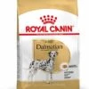 Royal Canin Dalmatian/Dalmatiër Adult - Hondenvoer - 12kg