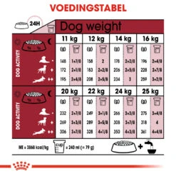 Royal Canin Medium Ageing 10+ Hondenvoer 10x 140g 7 Royal Canin Medium Ageing 10+ Hondenvoer 10x 140g -ROYAL CANIN Winkel 658cd0070fe8656d49127926637c4755119021204d9a36ef53ccdb1c5650d350 1