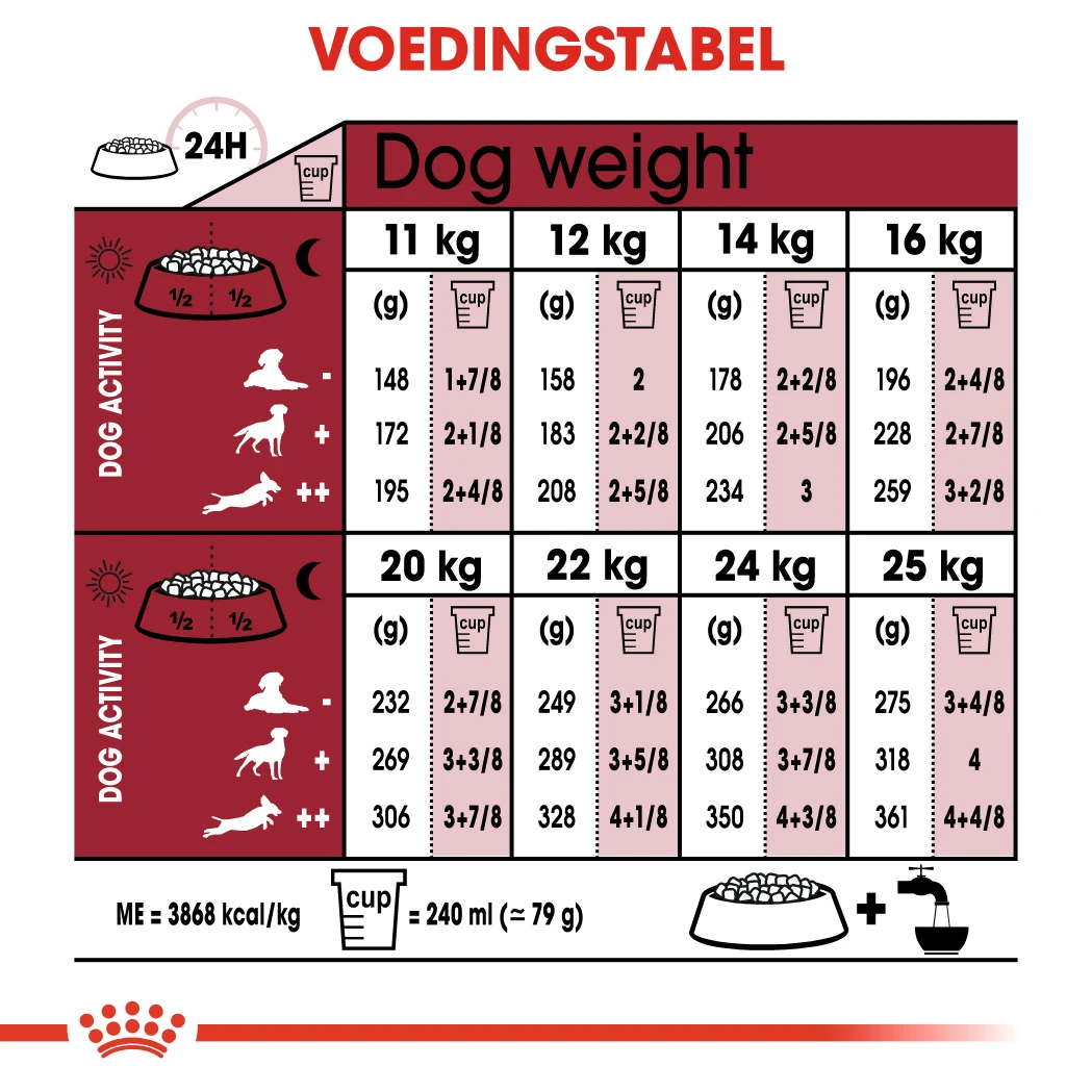 Royal Canin Medium Ageing 10+ Hondenvoer 10x 140g 4 Royal Canin Medium Ageing 10+ Hondenvoer 10x 140g - Afbeelding 2