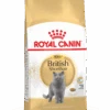 Royal Canin British Shorthair 10kg -ROYAL CANIN Winkel 66e6c4e986d8c42e84a8455bc78e6355e02657c13279c6ab8101a5fd73ff7834