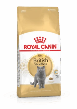 Royal Canin British Shorthair 10kg