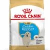Royal Canin Golden Retriever Puppy - Hondenvoer - 3kg -ROYAL CANIN Winkel 68d3f3f9b7d9d244531937aed8df19960c9e11353b42995f9df01155ec91dbeb