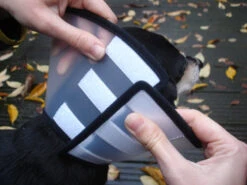 Flamingo Beschermkraag Capo 38,5cm -ROYAL CANIN Winkel 6a49ce8ac076c3841c6f50f7e51b24655faca046434a3c86371644c1769f8e05