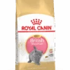 Royal Canin British Shorthair Kitten 2kg -ROYAL CANIN Winkel 76d0c27720d8be3f26fef9af79fca283991a0766a0ae16725fdcb34b6413088f