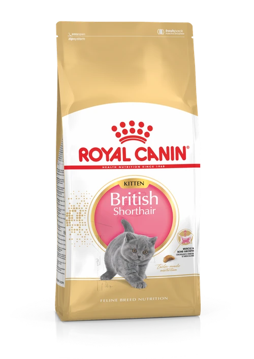 Royal Canin British Shorthair Kitten 2kg 3 Royal Canin British Shorthair Kitten 2kg