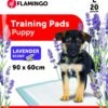 Flamingo Trainingsmat Pady L 20st Lavendel 90x60cm 1 Flamingo Trainingsmat Pady L 20st Lavendel 90x60cm -ROYAL CANIN Winkel 86853736e11753c6e809486d45f9c0b49295b8a7d1bdf0ad3f963102bda6cec6