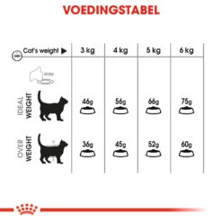 Royal Canin Dental Care Kattenvoer 8kg -ROYAL CANIN Winkel 87cf17d147fbd085e4655802ded4226cb6e76488ebb3f98d72bdcf3c8ce16388 1