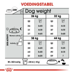 Royal Canin Dental Care Maxi Hond 9kg -ROYAL CANIN Winkel 89d65b8b468daa27720f35f98d1caf2e00f02fd3a52259cbd0d6ab6ded97cf9c 1