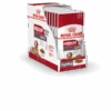 Royal Canin Medium Ageing 10+ Hondenvoer 10x 140g -ROYAL CANIN Winkel 9980552f6c6b6878cf2cfe070f803ff9d2b2c6848297c85099516c63f9a95685