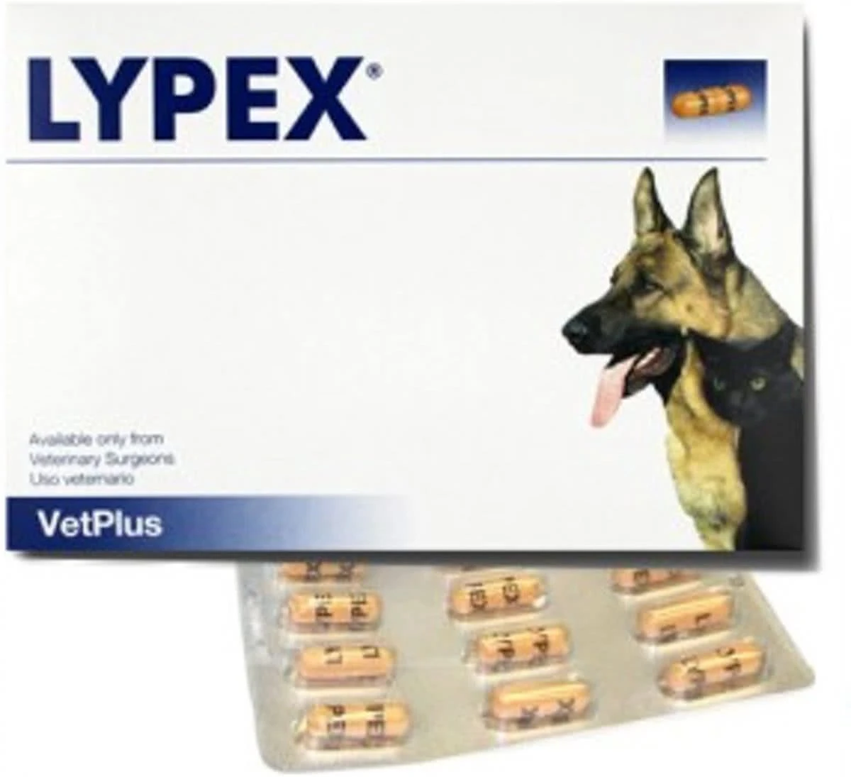 Lypex Hond-kat Caps 60 3 Lypex Hond-kat Caps 60