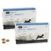 VitalChew Buster Joints & Mobility Medium/Large 30 Stuks -ROYAL CANIN Winkel Covnl 1221754