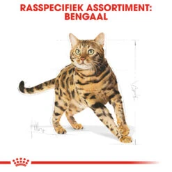 Royal Canin Bengal Adult Kattenvoer 2kg -ROYAL CANIN Winkel Royal Canin Bengal Kat NL 3