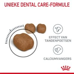 Royal Canin Dental Care Kattenvoer 8kg -ROYAL CANIN Winkel Royal Canin Dental Care Kat NL 04 1