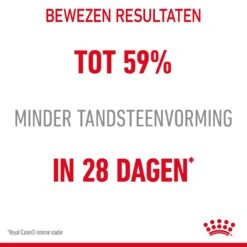 Royal Canin Dental Care Kattenvoer 8kg -ROYAL CANIN Winkel Royal Canin Dental Care Kat NL 05 1