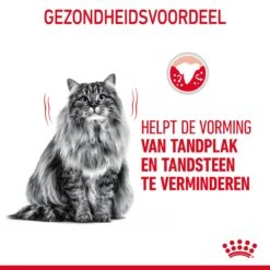 Royal Canin Dental Care Kattenvoer 8kg -ROYAL CANIN Winkel Royal Canin Dental Care Kat NL 06 1