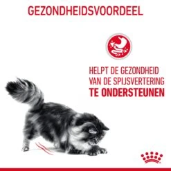 Royal Canin Digestive Care Kattenvoer 4kg -ROYAL CANIN Winkel Royal Canin Digestive Care Kat NL 07