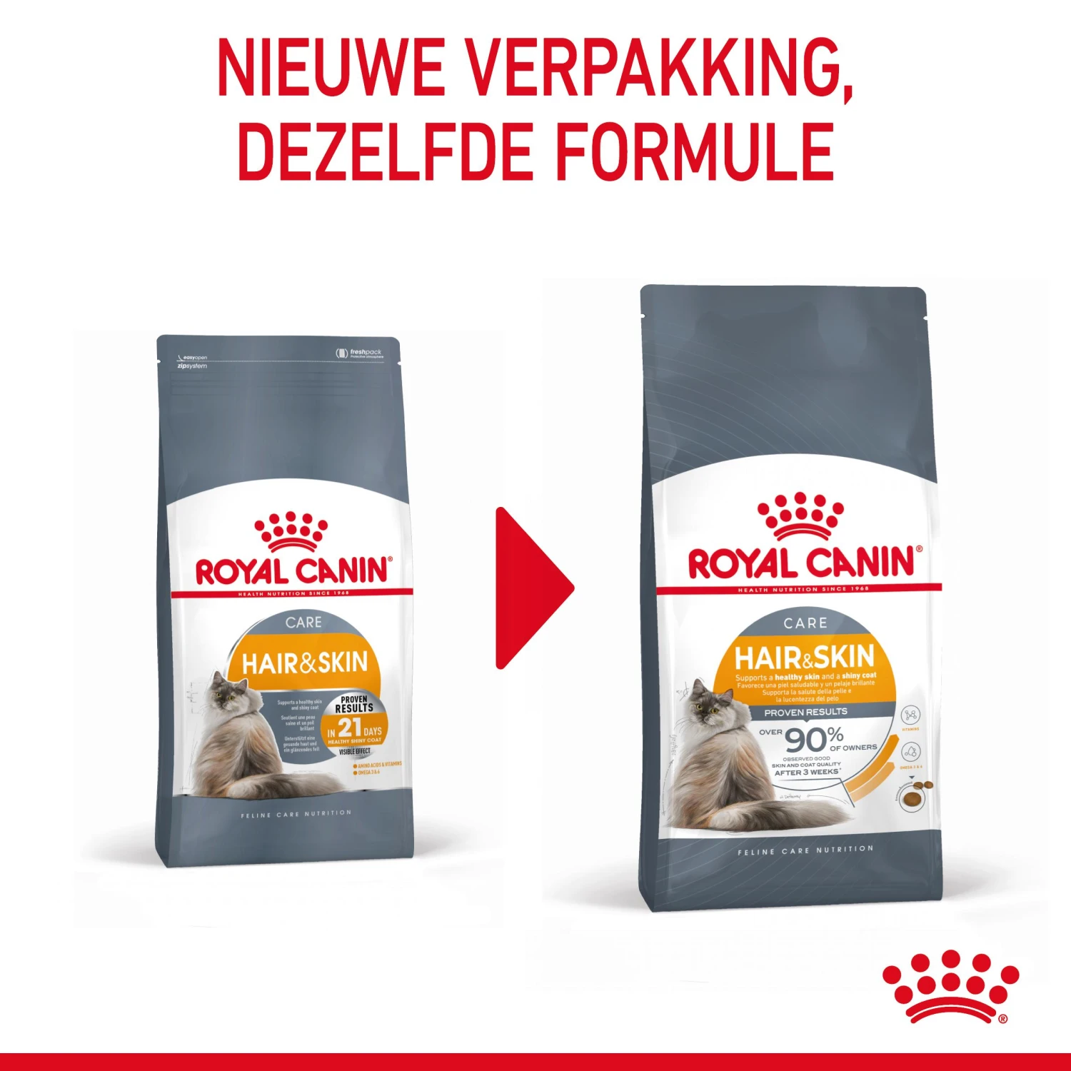 Royal Canin Hair & Skin Care Kattenvoer 10kg 5 Royal Canin Hair & Skin Care Kattenvoer 10kg - Afbeelding 3