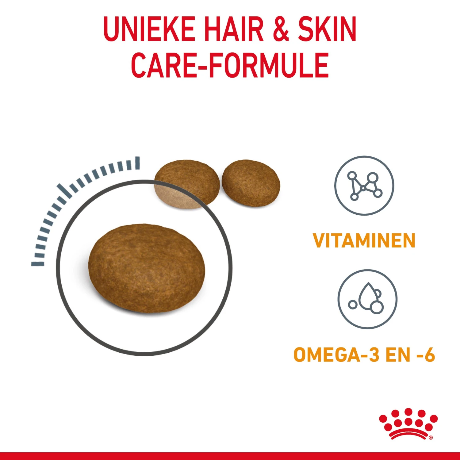 Royal Canin Hair & Skin Care Kattenvoer 10kg 7 Royal Canin Hair & Skin Care Kattenvoer 10kg - Afbeelding 5