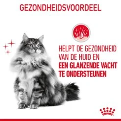 Royal Canin Hair & Skin Care Kattenvoer 10kg 20 Royal Canin Hair & Skin Care Kattenvoer 10kg -ROYAL CANIN Winkel Royal Canin Hair Skin Care Kat NL 07