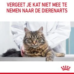 Royal Canin Light Weight Care Natvoer In Jelly Kattenvoer 12x85g -ROYAL CANIN Winkel Royal Canin Light Weight Care Jelly Kat NL 13