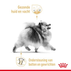 Royal Canin Pomeranian Adult Hondenvoer 12x85g -ROYAL CANIN Winkel Royal Canin Pomeranian Natvoer NL 3