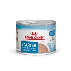 Royal Canin Starter Mousse In Blik – 12x 190g