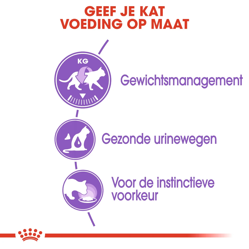 Royal Canin Sterilised In Jelly Kattenvoer 12x85g 5 Royal Canin Sterilised In Jelly Kattenvoer 12x85g - Afbeelding 3