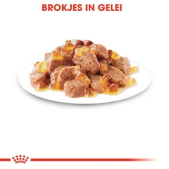 Royal Canin Sterilised In Jelly Kattenvoer 12x85g 11 Royal Canin Sterilised In Jelly Kattenvoer 12x85g -ROYAL CANIN Winkel Royal Canin Sterilised Jelly Kat NL 4