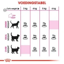 Royal Canin Aroma Exigent Kattenvoer 2kg -ROYAL CANIN Winkel a2196c835232e23eecabd05c83f024d253a33c473edb092041e702285d61dfda 1
