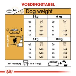 Royal Canin Jack Russell Adult - Hondenvoer - 7,5kg -ROYAL CANIN Winkel ad90d20e8be659a05b8d6ea3d9c84a4959dbd6443649feb4970eb79fc6868336