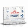 ROYAL CANIN Icu Recovery Hond Vloeibaar 3 X 200 Ml -ROYAL CANIN Winkel b42bd355c32bf4ad4306b22423a45fe3ea75d26760554b8be10393c3f38a4e18