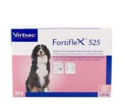 Fortiflex 525 - 300 Tabletten