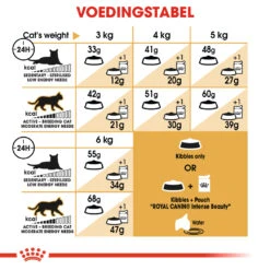 Royal Canin Siamese 38 - Kattenvoer - 4kg 7 Royal Canin Siamese 38 - Kattenvoer - 4kg -ROYAL CANIN Winkel c34745f78a51d5f31623226b4ca1141d392d19bbeb2838cf5a33583de24ae12b 1
