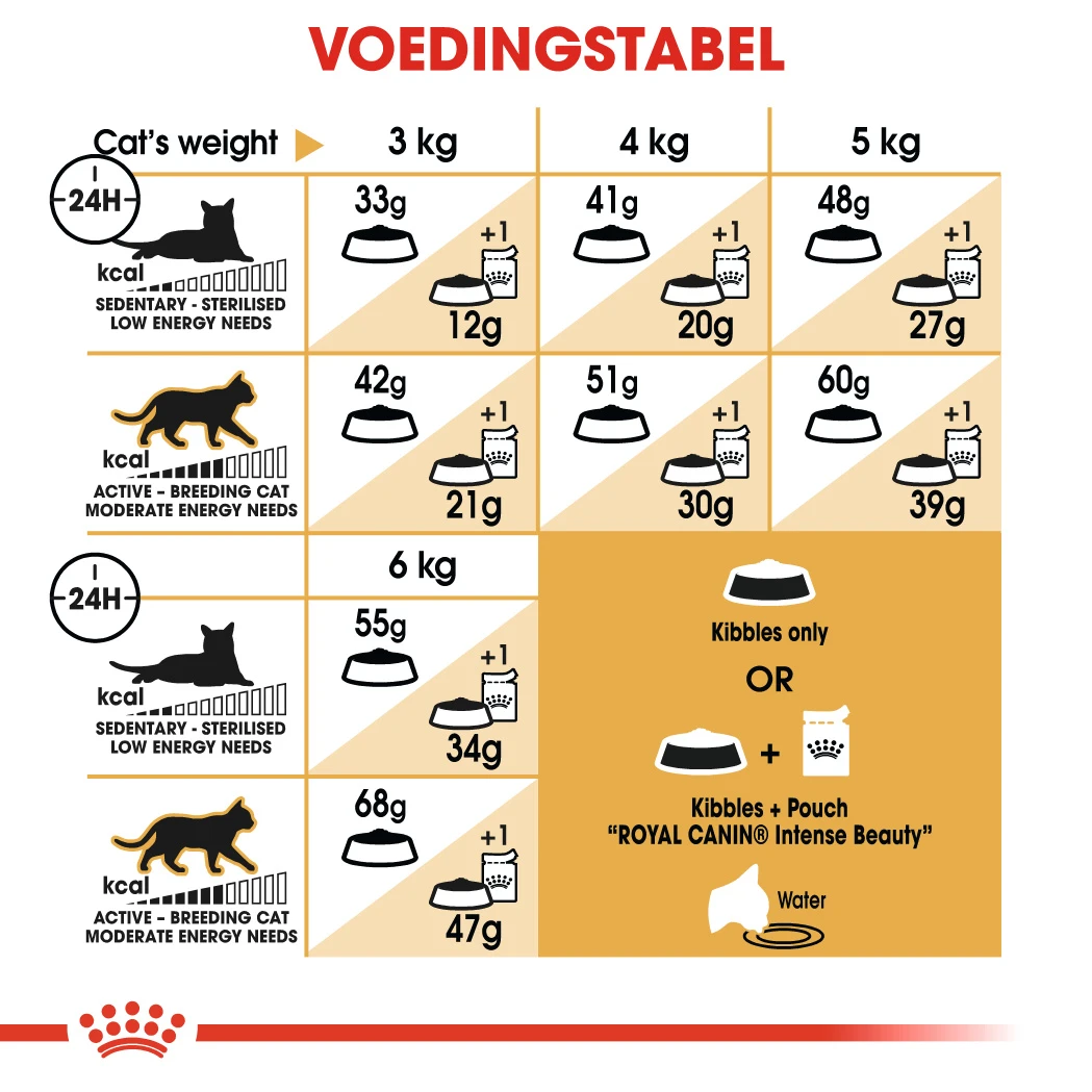 Royal Canin Siamese 38 - Kattenvoer - 4kg 4 Royal Canin Siamese 38 - Kattenvoer - 4kg - Afbeelding 2