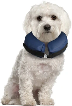 Flamingo Opblaasbare Hondenkraag Gofi S -ROYAL CANIN Winkel c76564a084433e164fdda469521c2f8b95e5c504b608d8280deab069721e7d8e