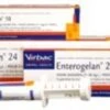 Virbac Enterogelan 24 Pasta Doseerspuit Hond 24ml 1 Virbac Enterogelan 24 Pasta Doseerspuit Hond 24ml -ROYAL CANIN Winkel d6f0c3e8c267b32214055f1fd9d32ab07ef6758aa8c366dfda92a9e9255b3a91