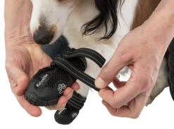 Trixie Pootbescherming Walker Active M 2st. -ROYAL CANIN Winkel e08062450bd8a32b408258fb4c31ff7f7447657b0f4f3fa1ecca0f8550d45313