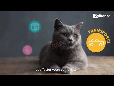 Zylkene Chew 75mg Kleine Honden - 14 Chews 4 Zylkene Chew 75mg Kleine Honden - 14 Chews - Afbeelding 2