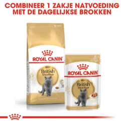 Royal Canin British Shorthair 10kg -ROYAL CANIN Winkel rc fbn britishsh cv eretailkit 4 nl nl